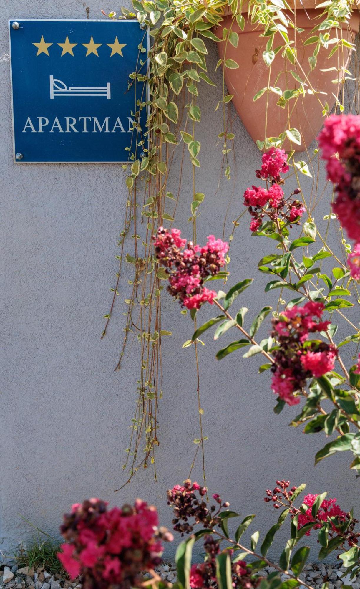 Luxury Apartment Alba With Pool Kanfanar Buitenkant foto